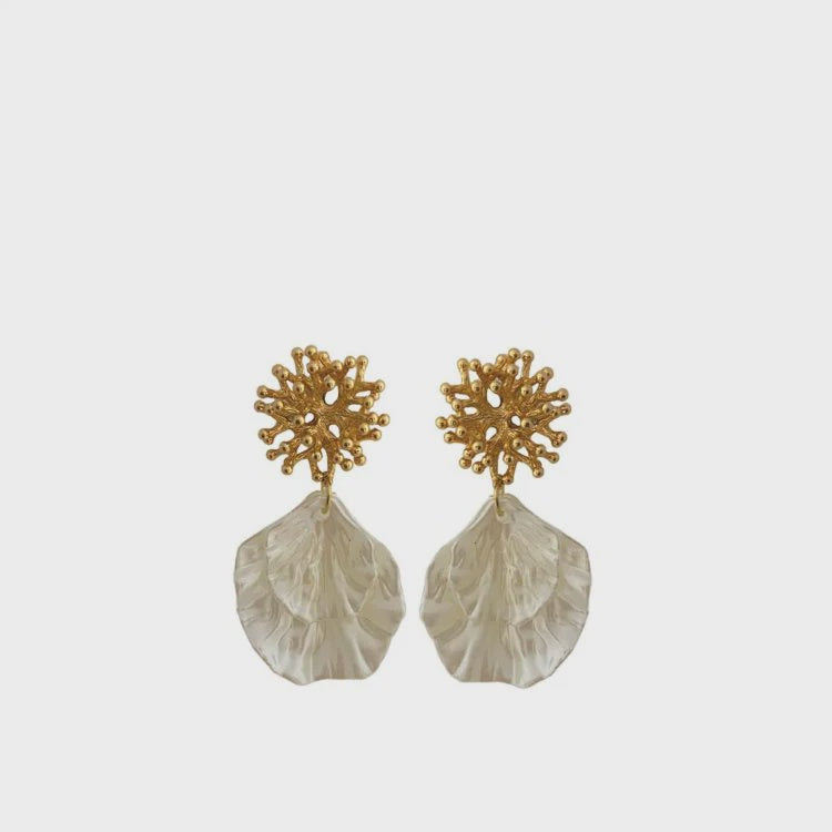 Coral Shell Earrings